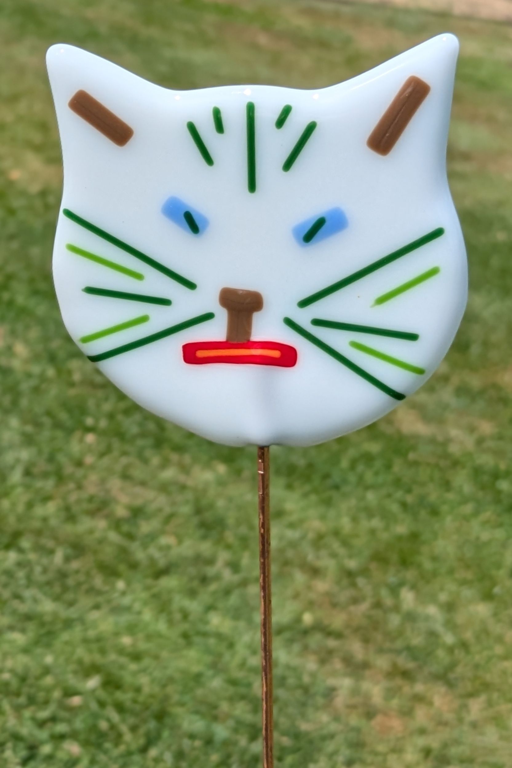 Artists/Images/isabelle wallemacq_image_chat.jpg